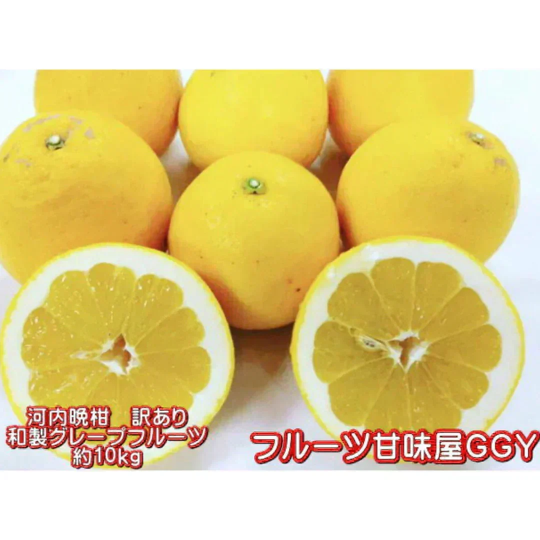 河内晩柑 訳あり 1箱 箱込10kg (9kg+保証分500g）熊本産