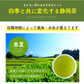 【2024年産】静岡県産緑茶 ティーライフのまかない新茶 100個入（ ティーバッグ 緑茶 新茶 ）