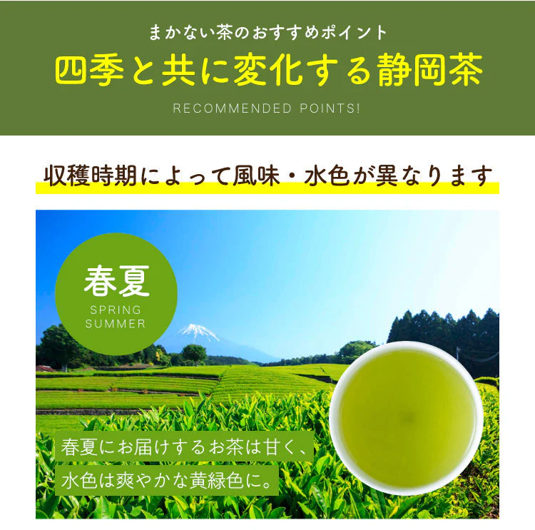 【2024年産】静岡県産緑茶 ティーライフのまかない新茶 100個入（ ティーバッグ 緑茶 新茶 ）