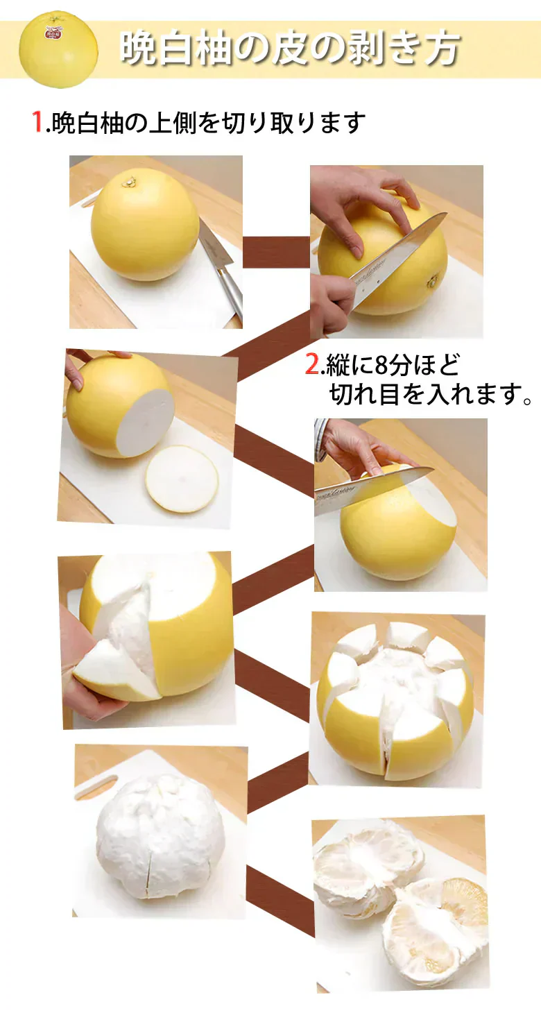 晩白柚 みかん ばんぺいゆ 訳あり 送料無料 約3kg〜4kg 2玉入 M〜2Lサイズ 世界最大級の柑橘 熊本県八代産 蜜柑 ミカン