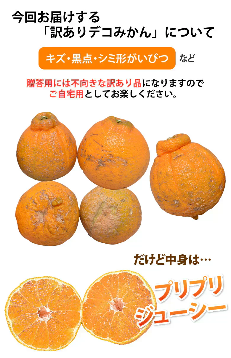 デコポン 同品種 訳ありデコみかん 1.5kg 送料無料 熊本県産 フルーツ みかん ミカン 蜜柑