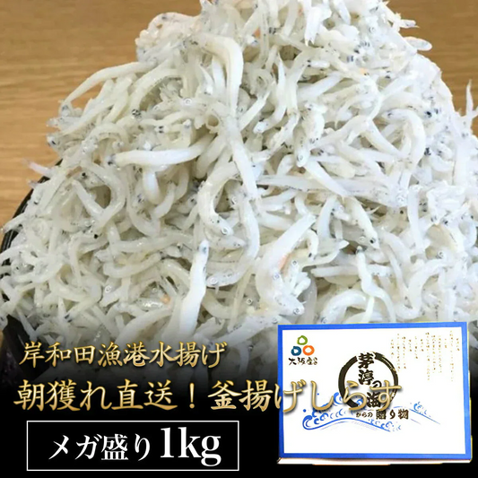 釜揚げしらす 1kg