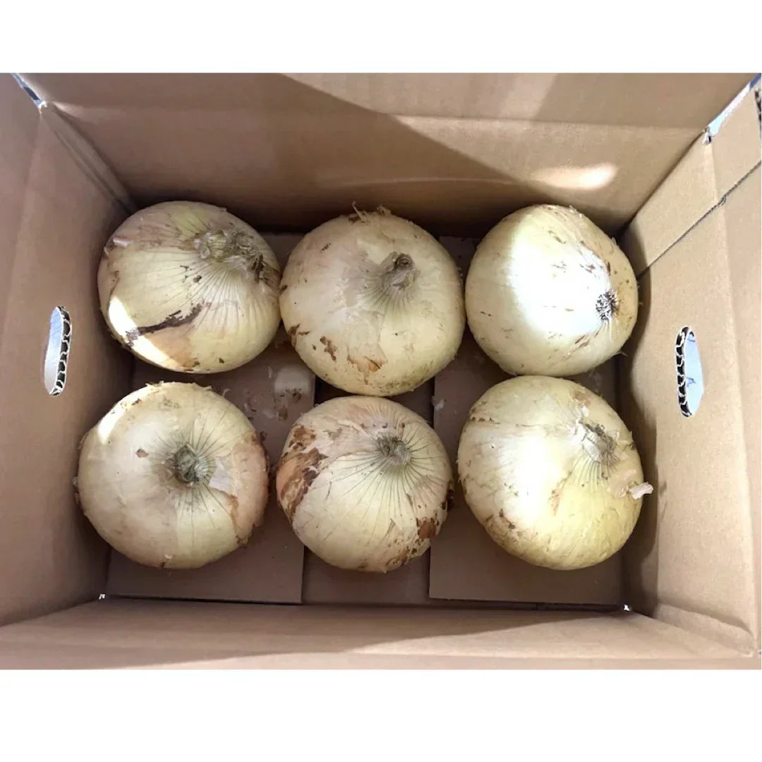 たまねぎ 約1.5kg 送料無料  60サイズ