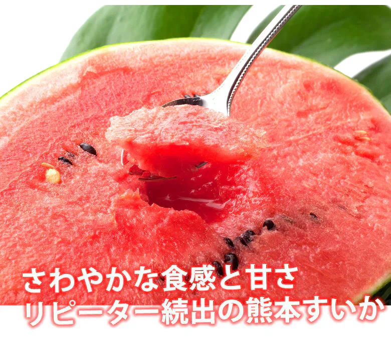 スイカ すいか 送料無料 熊本すいか 秀品 1玉 約3.5kg～5kg 熊本県産 西瓜 フルーツ