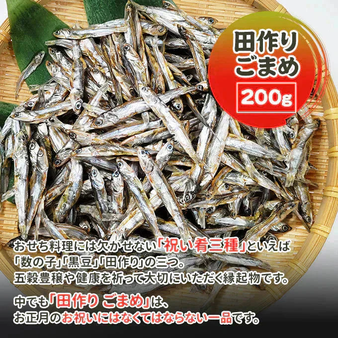 田作り ごまめ 200g サイズ 無選別 常温便 ネコポス 送料無料【猛暑注意！到着後お早めに室内へ】