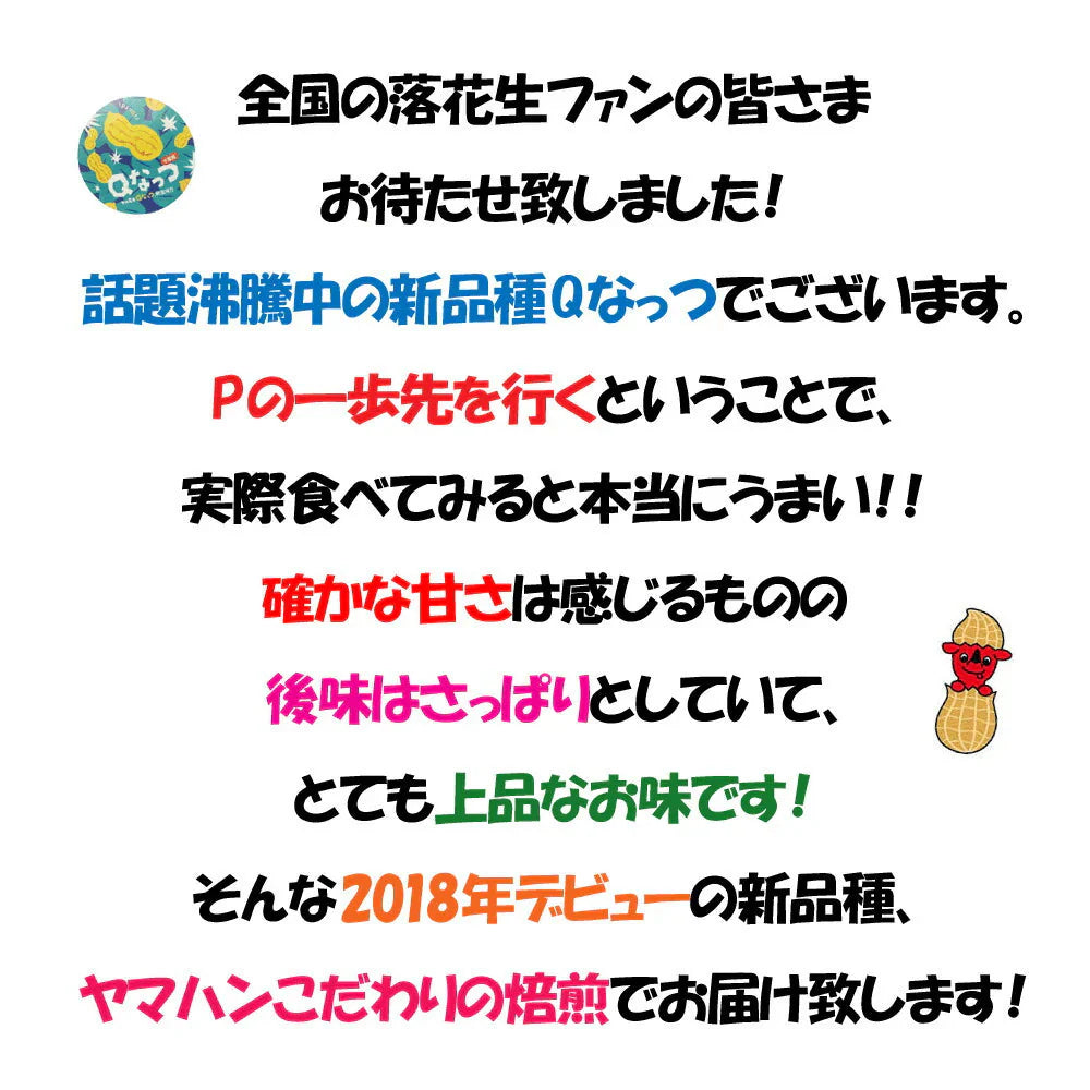 千葉県産Qなっつ さや煎り落花生1kg(500g×2袋)ピーナッツ