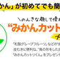 河内晩柑 送料無料 1.5kg 和製 グレープフルーツ 旬 の フルーツ 果物 みかん 訳あり 夏文旦 晩柑 宇和ゴールド ジューシーみかん 熊本県産 《1-5営業日以内に発送予定(土日祝日除く)》