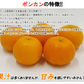 ポンカン 愛媛 箱買い 5kg 送料無料 ご家庭用 サイズミックス みかん 蜜柑 産地直送 愛媛県産 YDF-002