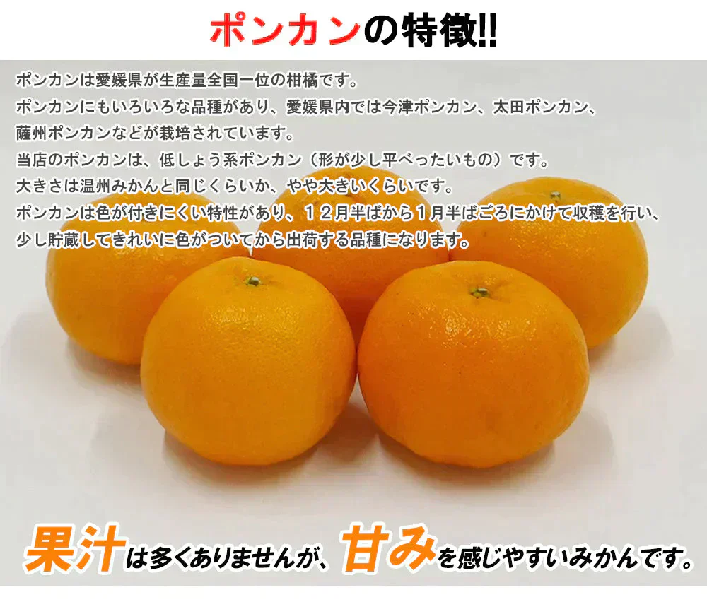 ポンカン 愛媛 箱買い 5kg 送料無料 ご家庭用 サイズミックス みかん 蜜柑 産地直送 愛媛県産 YDF-002
