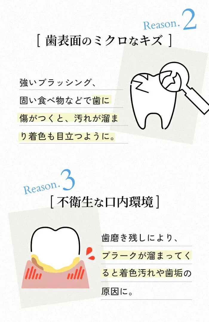 【単品】パールホワイト ホワイトニング 歯を白くする 歯ブラシ 薄型ヘッド 毛の硬さ：ふつう 日本製 自宅 ホームホワイトニング プレミアム 歯ブラシ