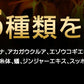 タフコンフィデンス《約3ヶ月分》みなぎるパワー系素材13種類配合！　ネコポス送料無料　トンカットアリ/マカ/スッポン/赤マムシ/亜鉛/タフコン/TOUGH CONFIDENCE