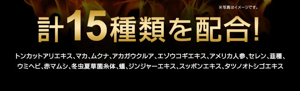 タフコンフィデンス《約3ヶ月分》みなぎるパワー系素材13種類配合！　ネコポス送料無料　トンカットアリ/マカ/スッポン/赤マムシ/亜鉛/タフコン/TOUGH CONFIDENCE