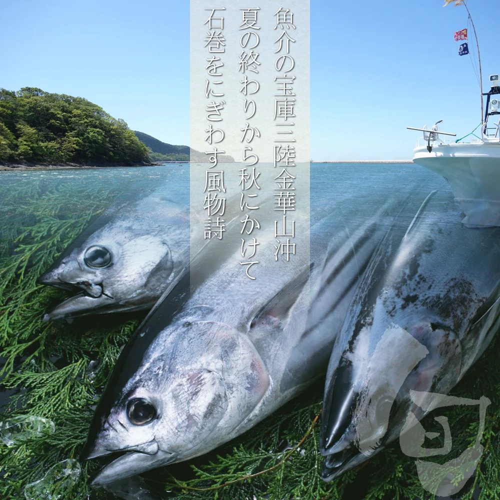 三陸石巻のブランド鰹 金華かつお たたき 三本セット(背節、腹節混合) 鰹のたたき かつおのたたき カツオ お刺身 海鮮 グルメ 食べ物 おつまみ お取り寄せ お歳暮 お祝い プレゼント 敬老の日 贈答用