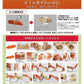 紅ズワイ姿　3.2kg（800g×4尾） 送料無料　蟹味噌　山陰香住港 兵庫県 国産