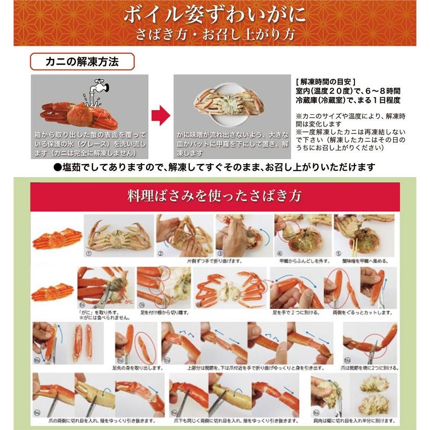 紅ズワイ姿　3.2kg（800g×4尾） 送料無料　蟹味噌　山陰香住港 兵庫県 国産