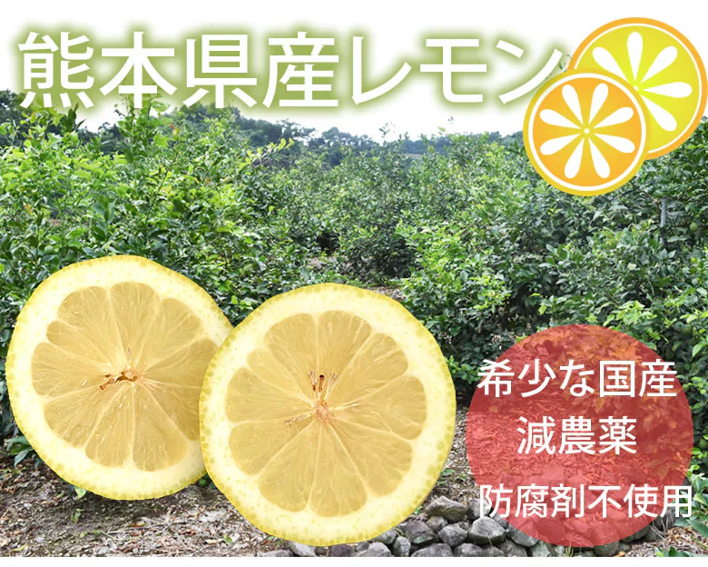 レモン 訳あり 国産レモン 送料無料 5kg 熊本県産 減農薬 防腐剤ワックス不使用 れもん グリーンレモン 国産