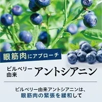 めなり極 目サプリ ルテイン サプリ 目 サプリメント 目のサプリ 視界 ぼやけ 目のピント ゼアキサンチン ビルベリー アントシアニン 目のサプリメント ブルーベリー ルテインサプリ 亜麻仁油 マリーゴールド アイケア カプセル アスタキサンチン 飛蚊症 ブルーライト