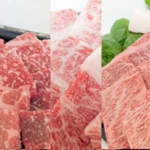 【産地直送！加工後チルドでお届け！鮮度抜群！この夏はみんなで食べよう！最高級焼肉セット】高級飛騨牛A5等級　3種焼肉セット600g（ロース・カルビ・もも各200g）真空パック/チルド冷蔵
