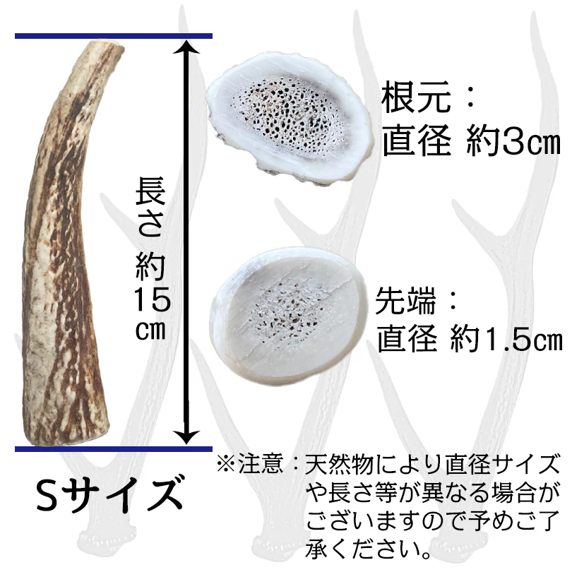 Deerhorn【Sサイズ】 北海道産 鹿角 ペット 犬 おもちゃ 小型犬 プレゼント いたずら防止 おやつ デンタルケア ガム 犬用 鹿の角 天然 無添加 柴犬 コーギー いぬ イヌ チワワ トイプードル