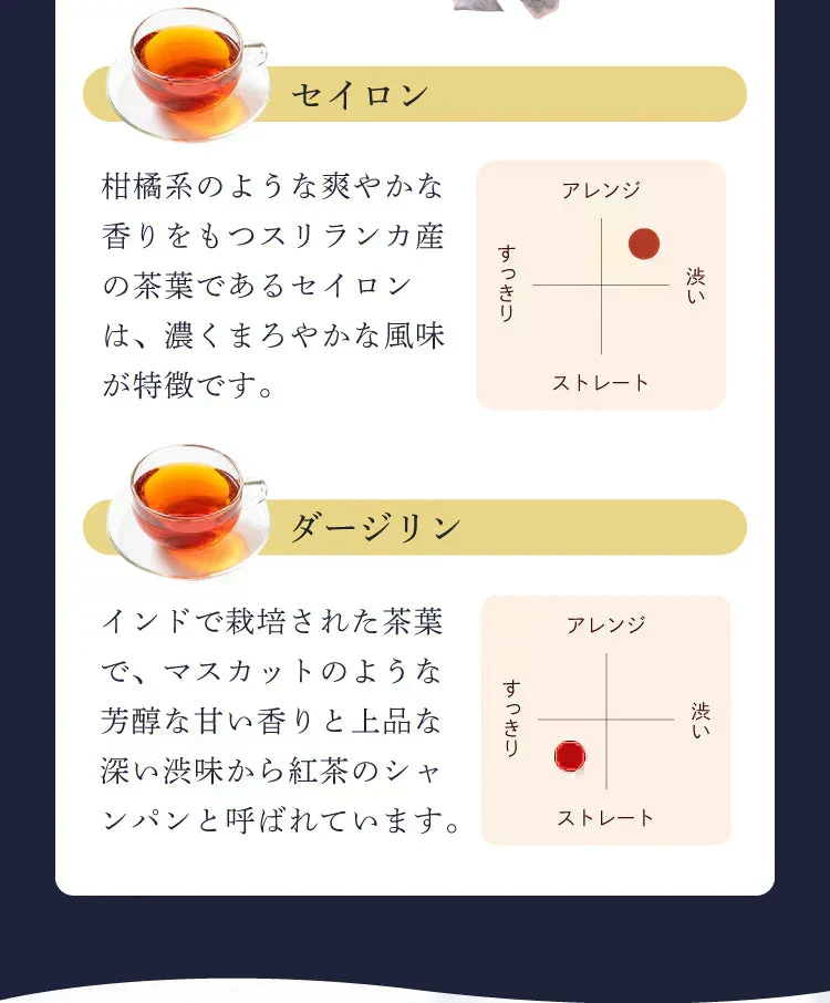 【最短当日出荷】★水出しOK★セイロンティー ダージリンブレンド 100個入 ( 紅茶 大容量  ダージリンティー セイロン ホット アイスティー ティーバッグ ティーパック )