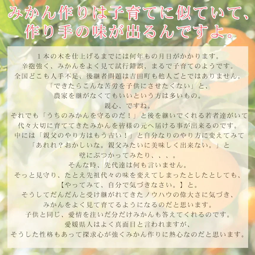 みかん　特撰　吉田みかん　３ｋｇ３箱　特撰０３０３　贈答用　精品　中玉　２Ｌサイズ揃えで１５から２０玉前後が３箱　化粧箱入　特撰包装　ミカン　蜜柑　フルーツ　果物　柑橘　贈物　贈答　お歳暮　送料無料