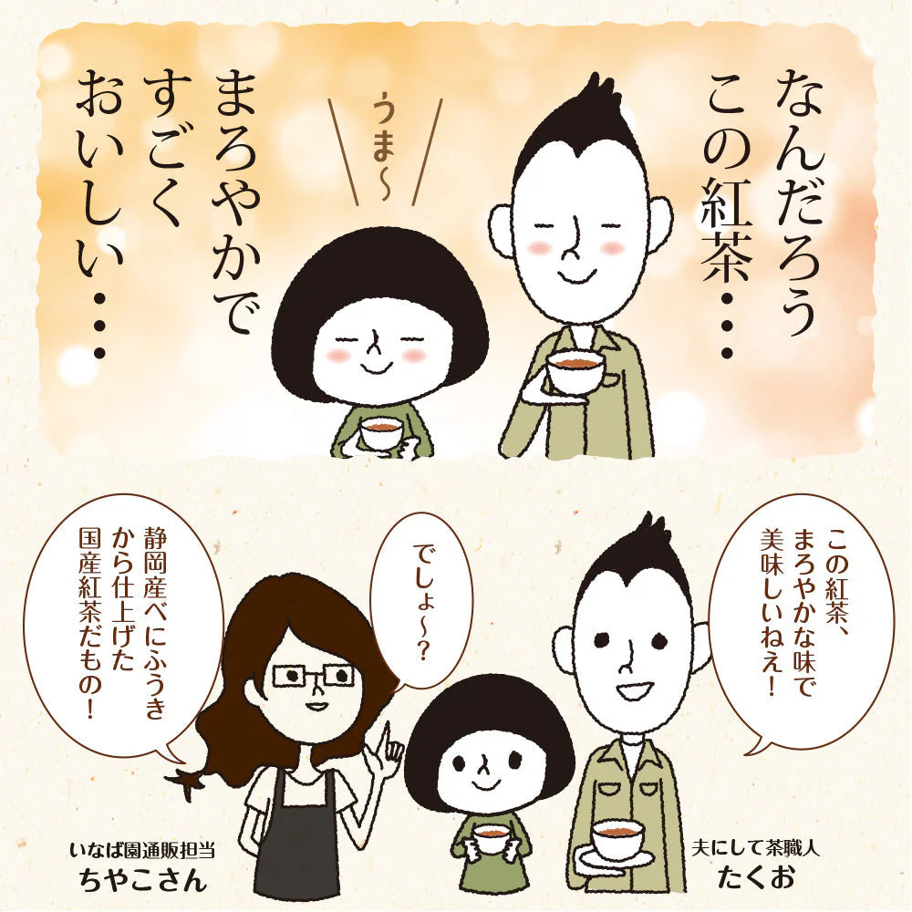 日本橋いなば園 静岡和紅茶 個包装ティーバッグ 25個 ネコポス メール便送料無料 ティーバッグ個包装タイプ 静岡茶 お礼 お茶 ティー ティーパック 贈物 引越し