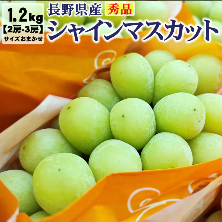 ＜秀品＞長野県産 シャインマスカット 1.2kg 秀品 2房 ~ 3房 種なし 長野県産 サイズおまかせ クール便 送料無料 | フルーツ ギフト 贈答用 家庭用 シャイン マスカット 贈り物 ギフト プレゼント 種なしぶどう 果物 くだもの 果実 青果 ブドウ 葡萄 おやつ デザート お歳暮