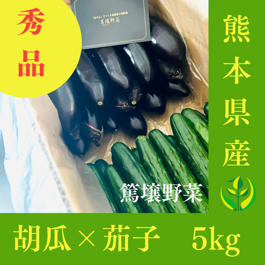 熊本県産　胡瓜と茄子セット　5kg