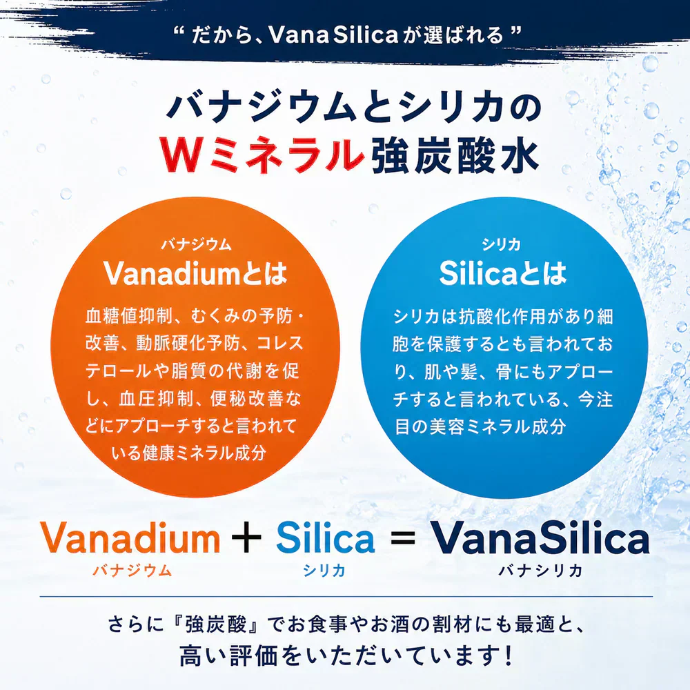 【1ケース】 富士山のバナジウム＆シリカ 強炭酸水 VanaSilica（バナシリカ） 500ml 24本 プレーン
