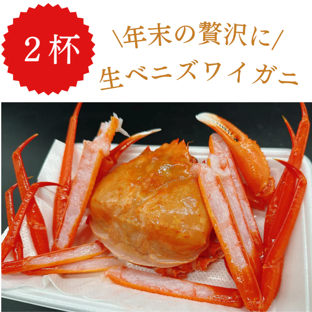 生ベニズワイガニ 殻カット済み 胴体ボイル 鳥取県産 2杯分【訳あり】