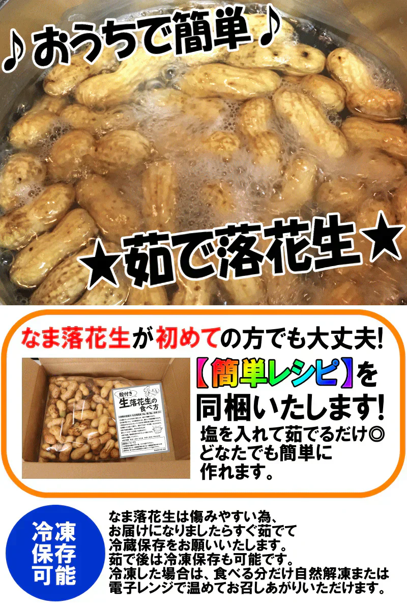 【数量限定】千葉県産　おおまさり　生落花生　2㎏　有機栽培