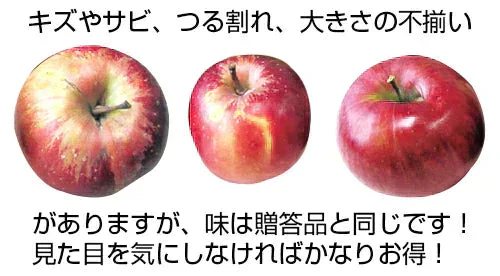送料無料 青森県産 葉とらず ふじ ご家庭用約10kg ※11月下旬よりご予約順に発送※ 人気の訳ありリンゴ 家庭用 青森 青森産 訳あり サンふじ りんご 林檎 ふじ