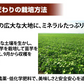 【10月下旬～11月上旬頃より順次出荷】さつまいも シルクスイート 訳あり 1.5kg 送料無料 熊本・宮崎県産 サツマイモ 春こがね 紅まさり 焼き芋 芋