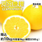 河内晩柑 みかん 送料無料 訳あり 10kg 箱込 (内容量9kg+不良果補償分500g) S～3L 和製グレープフルーツ お取り寄せ 晩柑 熊本県産 美生柑 フルーツ