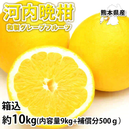 河内晩柑 みかん 送料無料 訳あり 10kg 箱込 (内容量9kg+不良果補償分500g) S～3L 和製グレープフルーツ お取り寄せ 晩柑 熊本県産 美生柑 フルーツ