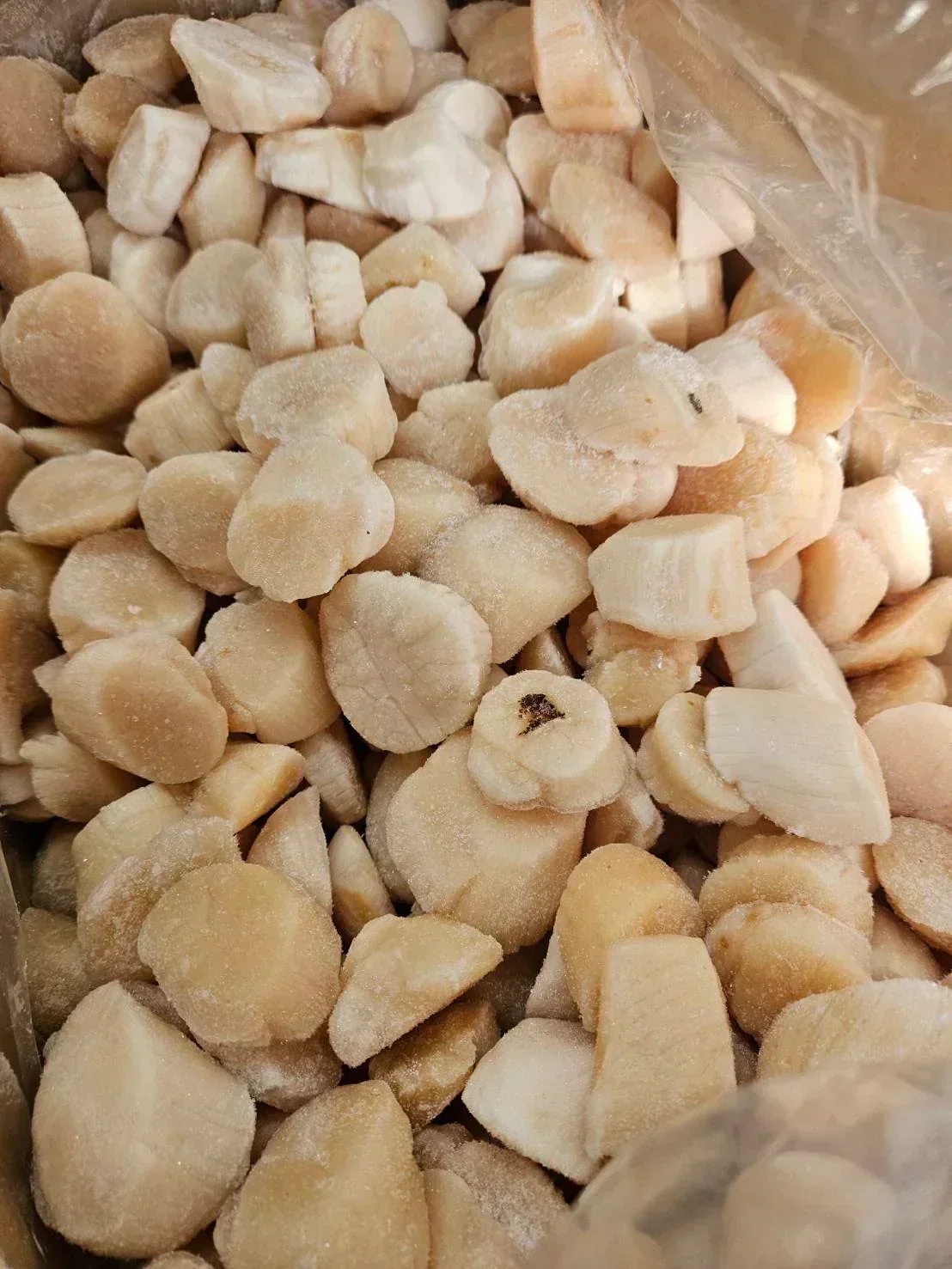 【訳あり】北海道産 ホタテ貝柱700g お刺身 訳あり