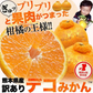 【本場熊本県産】デコみかん 訳あり 1.5kg 送料無料 不知火 みかん ミカン 熊本県産 訳あり デコポン と同品種 くまもと風土 ≪1-5営業日以内に発送予定（土日祝除く）≫
