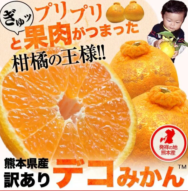 【本場熊本県産】デコみかん 訳あり 1.5kg 送料無料 不知火 みかん ミカン 熊本県産 訳あり デコポン と同品種 くまもと風土 ≪1-5営業日以内に発送予定（土日祝除く）≫