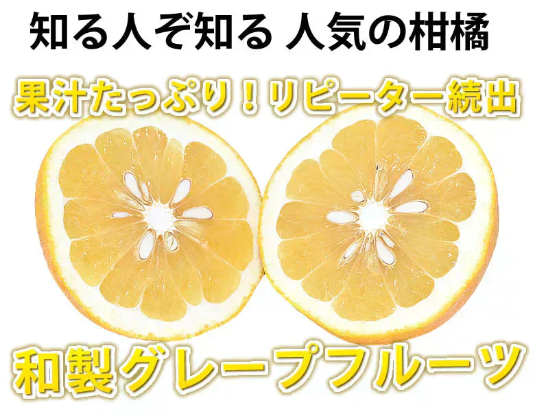 河内晩柑 みかん 送料無料 訳あり 10kg 箱込 (内容量9kg+不良果補償分500g) S～3L 和製グレープフルーツ お取り寄せ 晩柑 熊本県産 美生柑 フルーツ