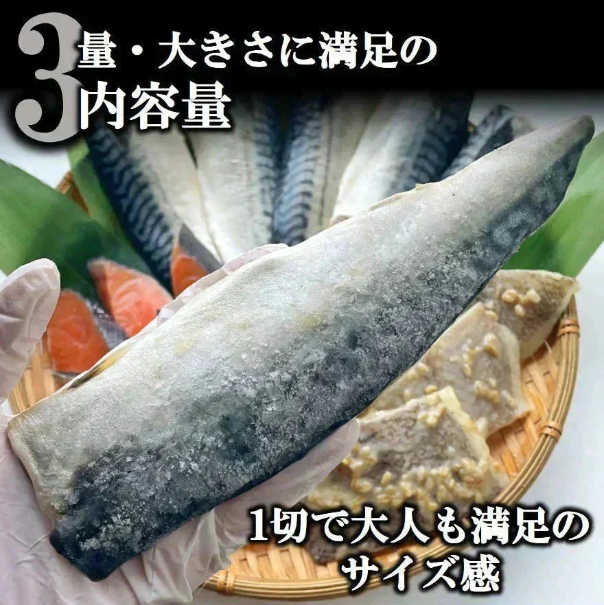 さば 鮭 カレイ 3種 各3切入り 計9切 漬け魚 焼き魚 福袋 セット 送料無料 魚 詰め合わせ 魚セット 人気 焼魚 味噌漬け 惣菜 漬魚 焼くだけ 調理 簡単 しゃけ 切り身 冷凍 鯖 おかず お弁当 食品