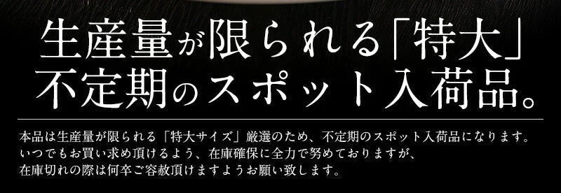特大訳ありホタテ！ ホタテ ほたて 貝柱 特大 1kg 訳あり（割れ 欠け サイズ不揃い） ほたて貝柱 ホタテ貝柱 ほたて 帆立 海鮮［送料無料］ 母の日 プレゼント ギフト