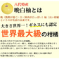 晩白柚 みかん ばんぺいゆ 訳あり 送料無料 約3kg〜4kg 2玉入 M〜2Lサイズ 世界最大級の柑橘 熊本県八代産 蜜柑 ミカン
