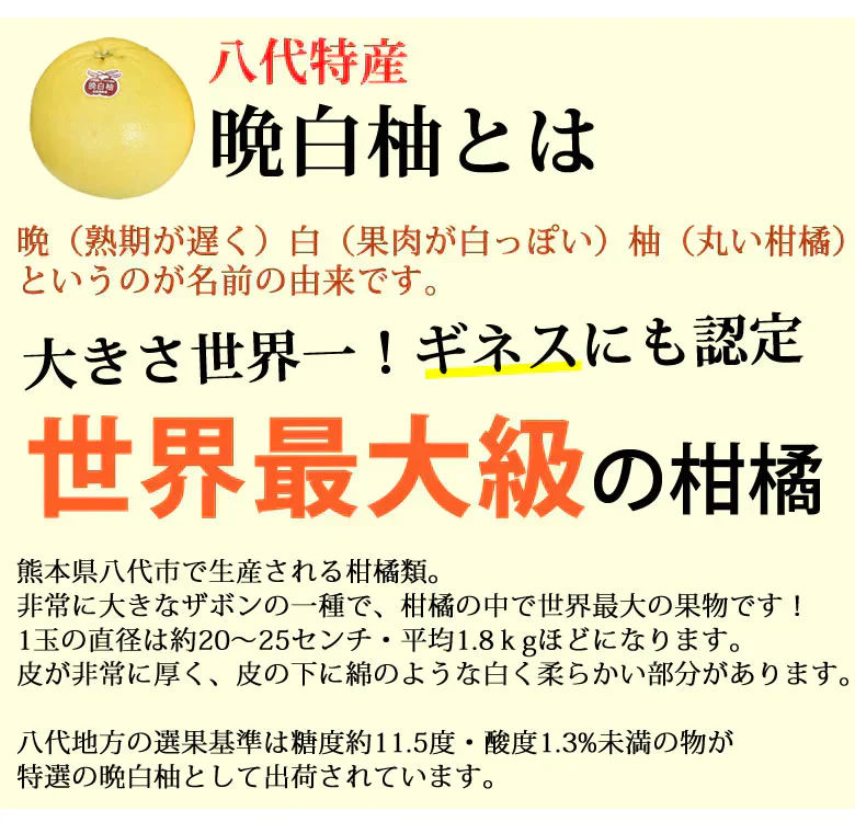 晩白柚 みかん ばんぺいゆ 訳あり 送料無料 約3kg〜4kg 2玉入 M〜2Lサイズ 世界最大級の柑橘 熊本県八代産 蜜柑 ミカン