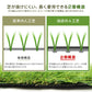【春色グリーン】人工芝 ロール 1m×10m リアル人工芝 芝生マット 人工芝生 人工芝マット 人工芝ロール 芝生 ロールタイプ 芝丈35mm 固定ピン 庭 ベランダ テラス バルコニー ガーデニング ガーデン 屋上緑化 u字ピン 水はけ