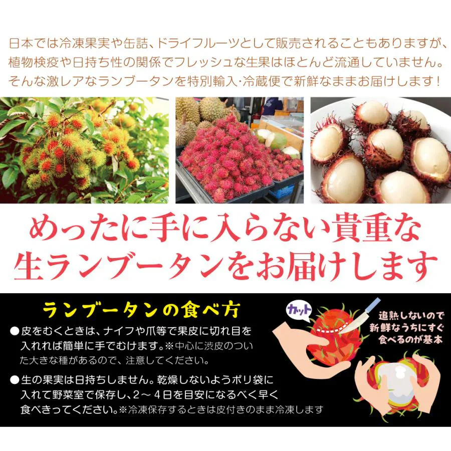 ランブータン 30玉 メキシコ産他
