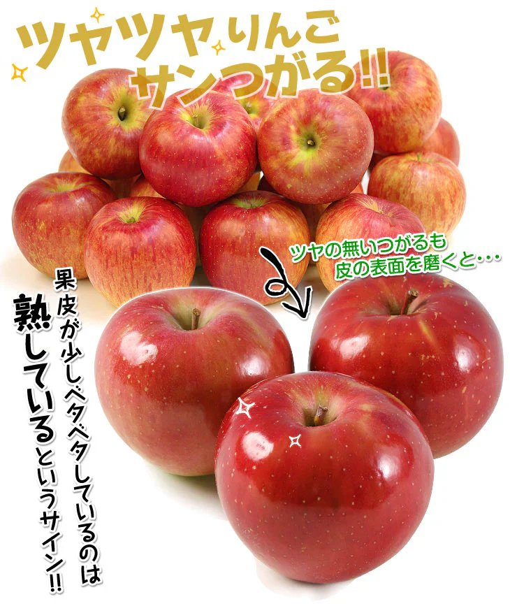 りんご 青森産 サンつがる 約3kg