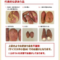 【熊本コレクション】さつまいも 熊本県産 訳あり 紅はるか べにはるか 1.5kg 送料無料 ※大中小サイズ混合(不選別 ) 焼き芋 さつま芋 新鮮 土付き 薩摩芋《11月中旬〜12月中旬頃より発送予定》【エコ得】