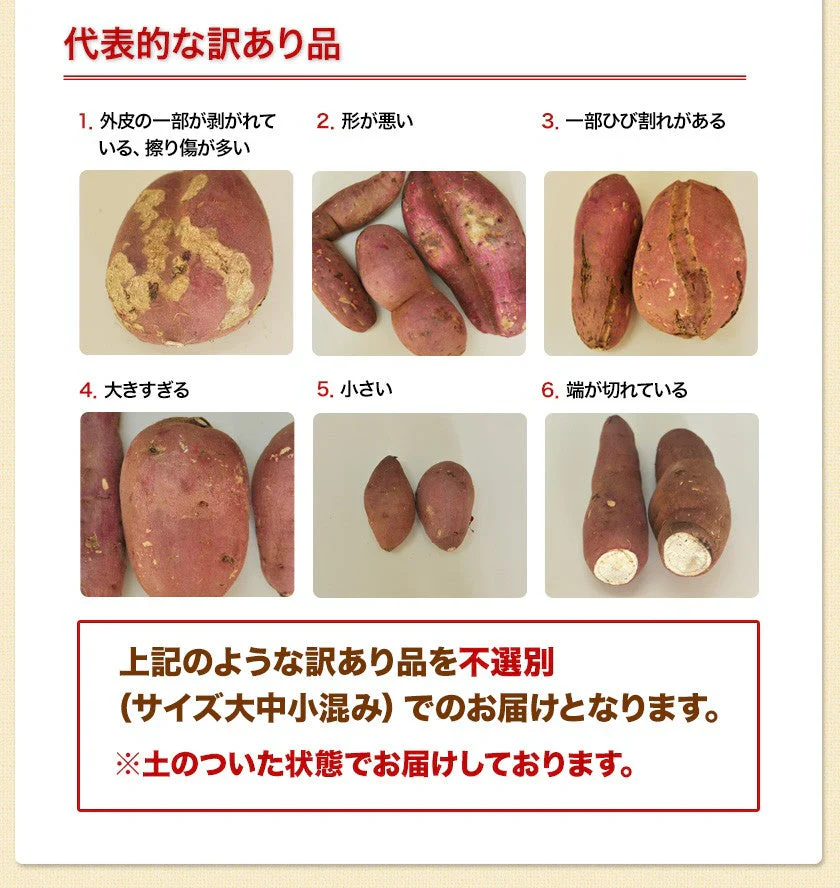 【熊本コレクション】さつまいも 熊本県産 訳あり 紅はるか べにはるか 1.5kg 送料無料 ※大中小サイズ混合(不選別 ) 焼き芋 さつま芋 新鮮 土付き 薩摩芋《11月中旬〜12月中旬頃より発送予定》【エコ得】