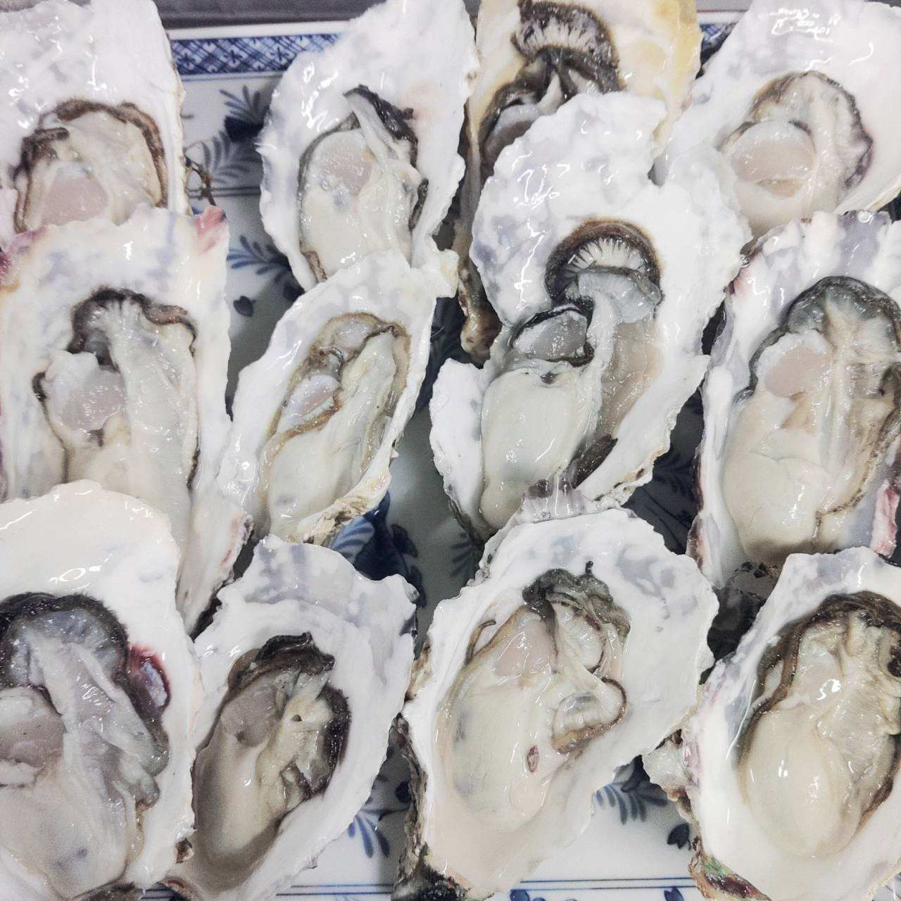 「生食用 殻付き 牡蠣 ４ｋｇ」生食用（28~70粒）生牡蠣 殻付き 牡蛎 牡蠣 殻付 宮城県産 松島牡蠣屋 カキ 海産物 魚介類 魚介 海鮮 母の日 父の日 送料無料 ＢＢＱ バーベキュー