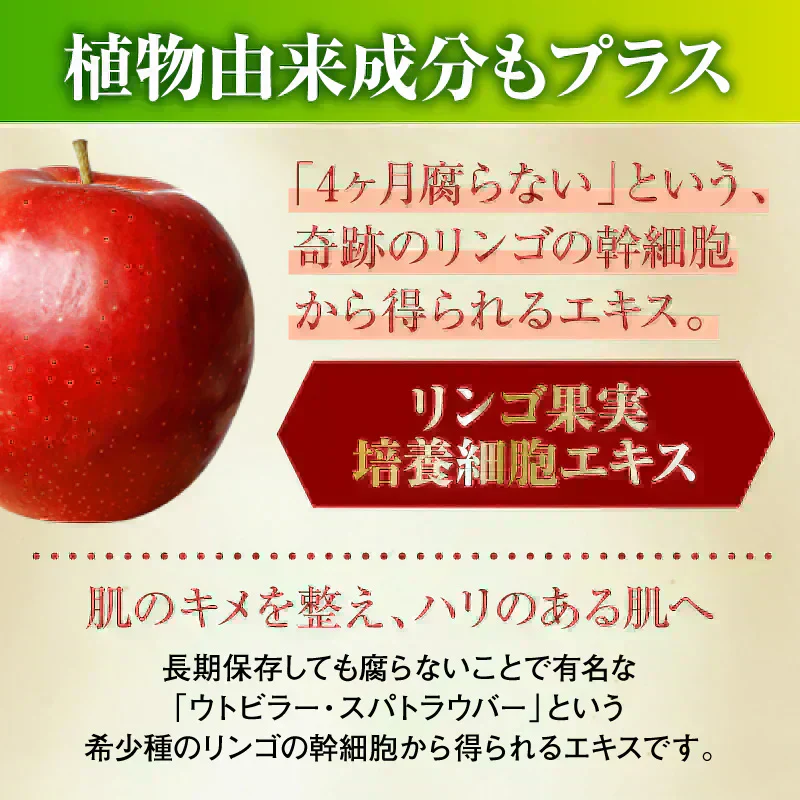 『リヴァリー アドバンスドフェイスマスク（★超お得な5袋セット★）』 ヒト幹細胞 ヒト脂肪細胞順化培養液 美容マスク 美肌 CICA NMN EGF フェイスマスク シートマスク